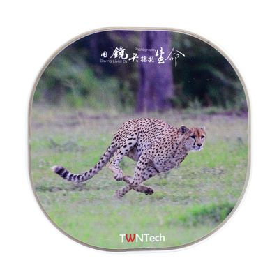 TWNT-WC1002YL Cheetah “Manhunt”